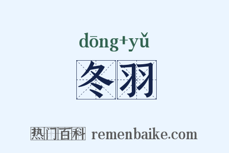 冬羽是什么意思的图片